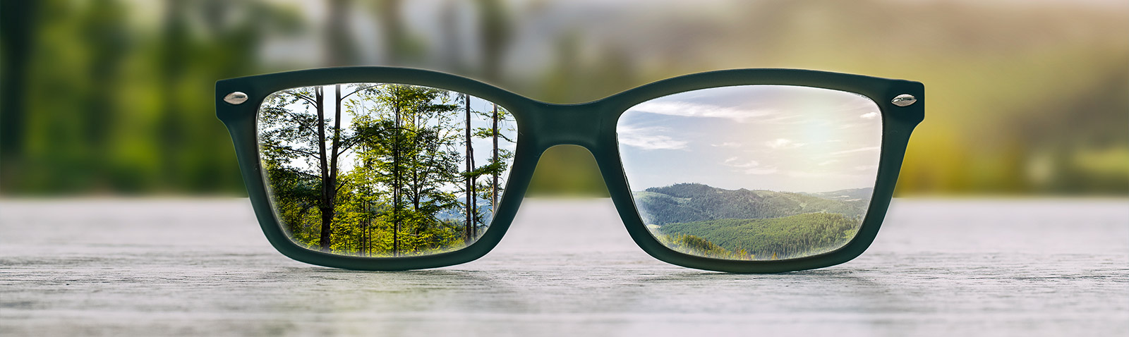 Optometry Office 11563